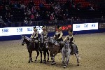 Quadrille - 00704